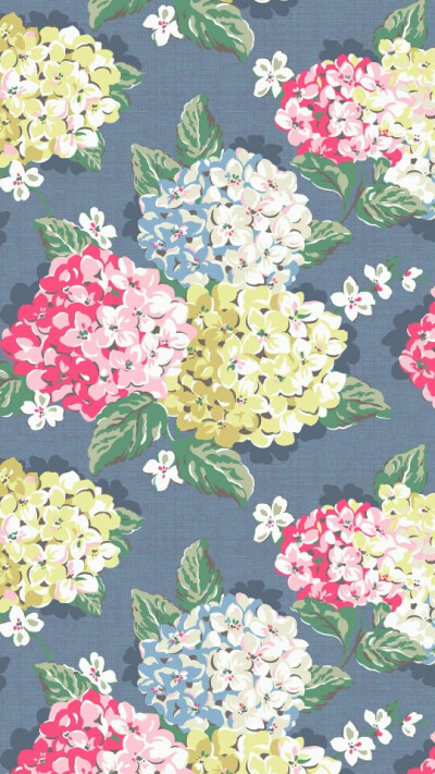 Cathkidston壁纸wp62