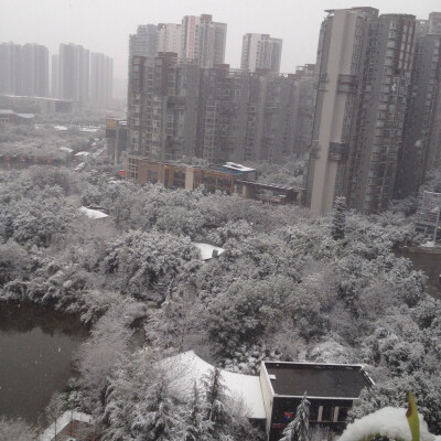 第一场雪