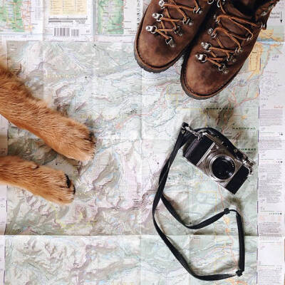 狗是最好的旅行伙伴 | 摄影师 Aspen lives