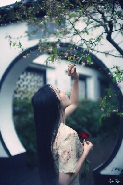 用最轻微的声音，在最华丽的地方消逝。