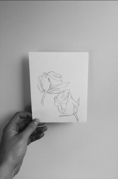 手绘玫瑰