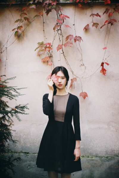 问世间所有的白