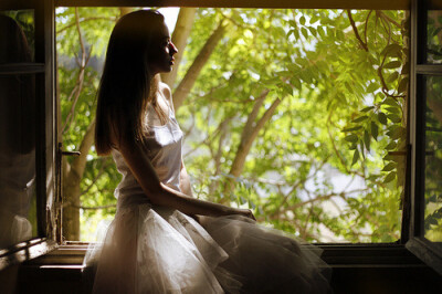 问世间所有的白