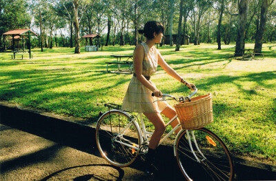 问世间所有的白