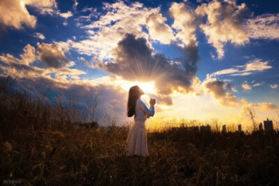 问世间所有的白