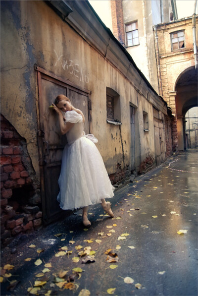 问世间所有的白