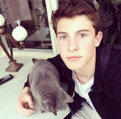 shawn mendes