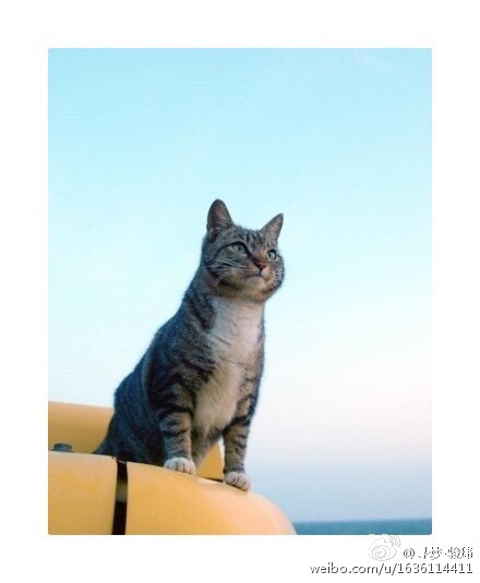 总有一天我会拿下这片池塘。