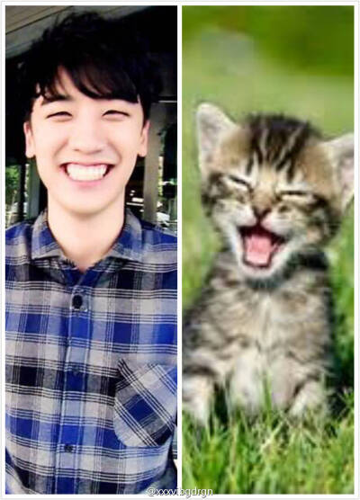 #seungri#