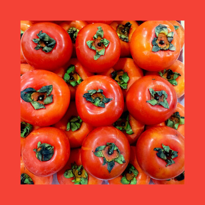 #杂拍#日系#插图#水果#色彩#手机摄影#