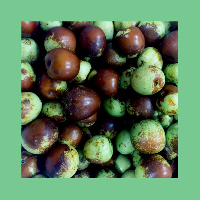 #杂拍#日系#插图#水果#色彩#手机摄影#