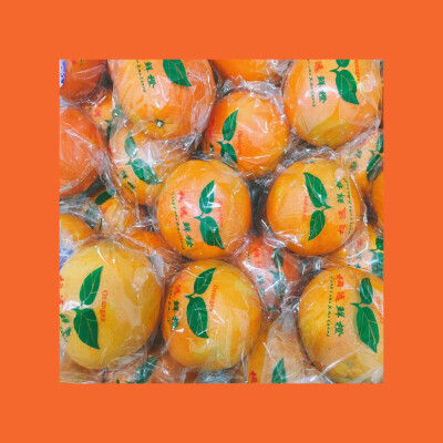 #杂拍#日系#插图#水果#色彩#手机摄影#