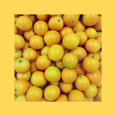 #杂拍#日系#插图#水果#色彩#手机摄影#