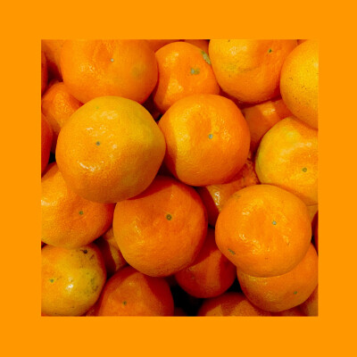 #杂拍#日系#插图#水果#色彩#手机摄影#