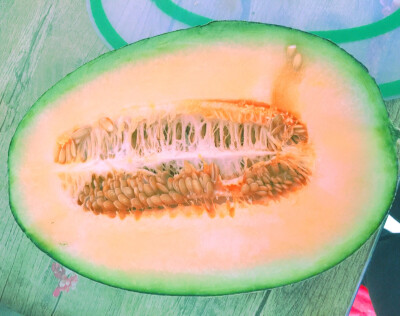 #杂拍#日系#插图#水果#色彩#手机摄影#