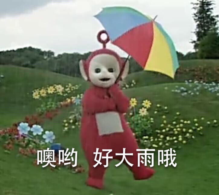 噢哟 好大的雨哦