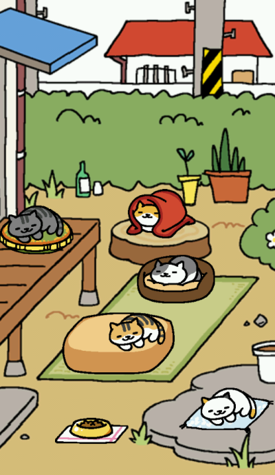 看着他们这样，我也觉得暖和。无孔不入的所有猫咪在这里趴着。猫咪后院更新之后新家伙它们还挺开心