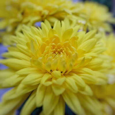 20160210☆★拍摄:Fujix-A2修图:Snapseed ☆★