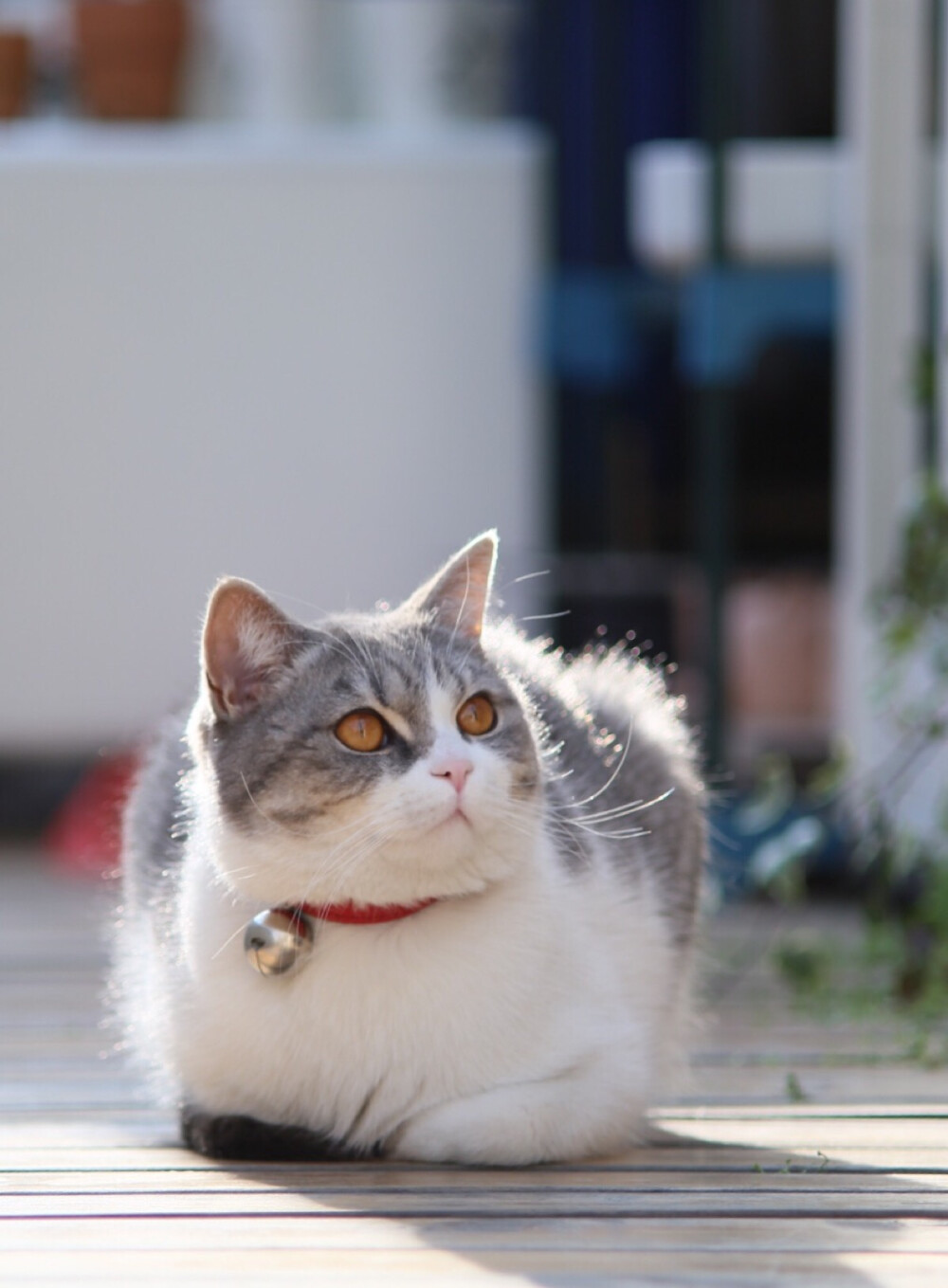 关注2016年2月10日 22:52德布罗意喵嗷