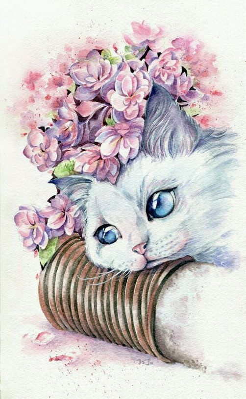 猫咪，插画，浅吟