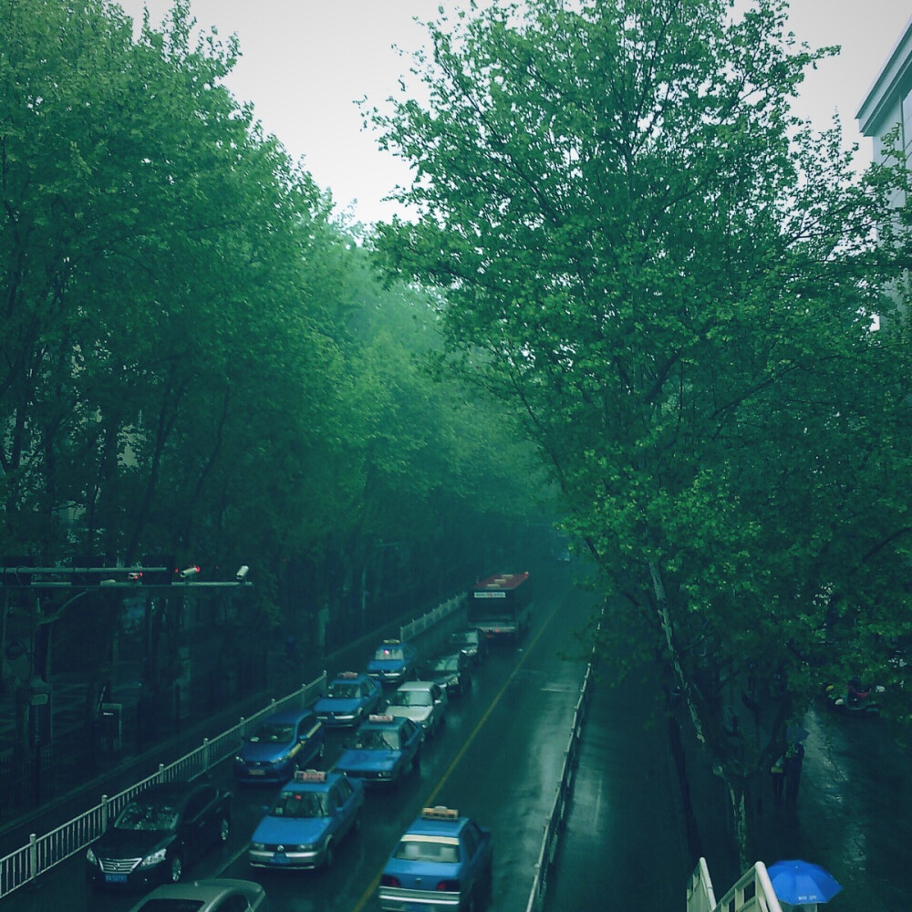 淅淅沥沥，夏天的雨 