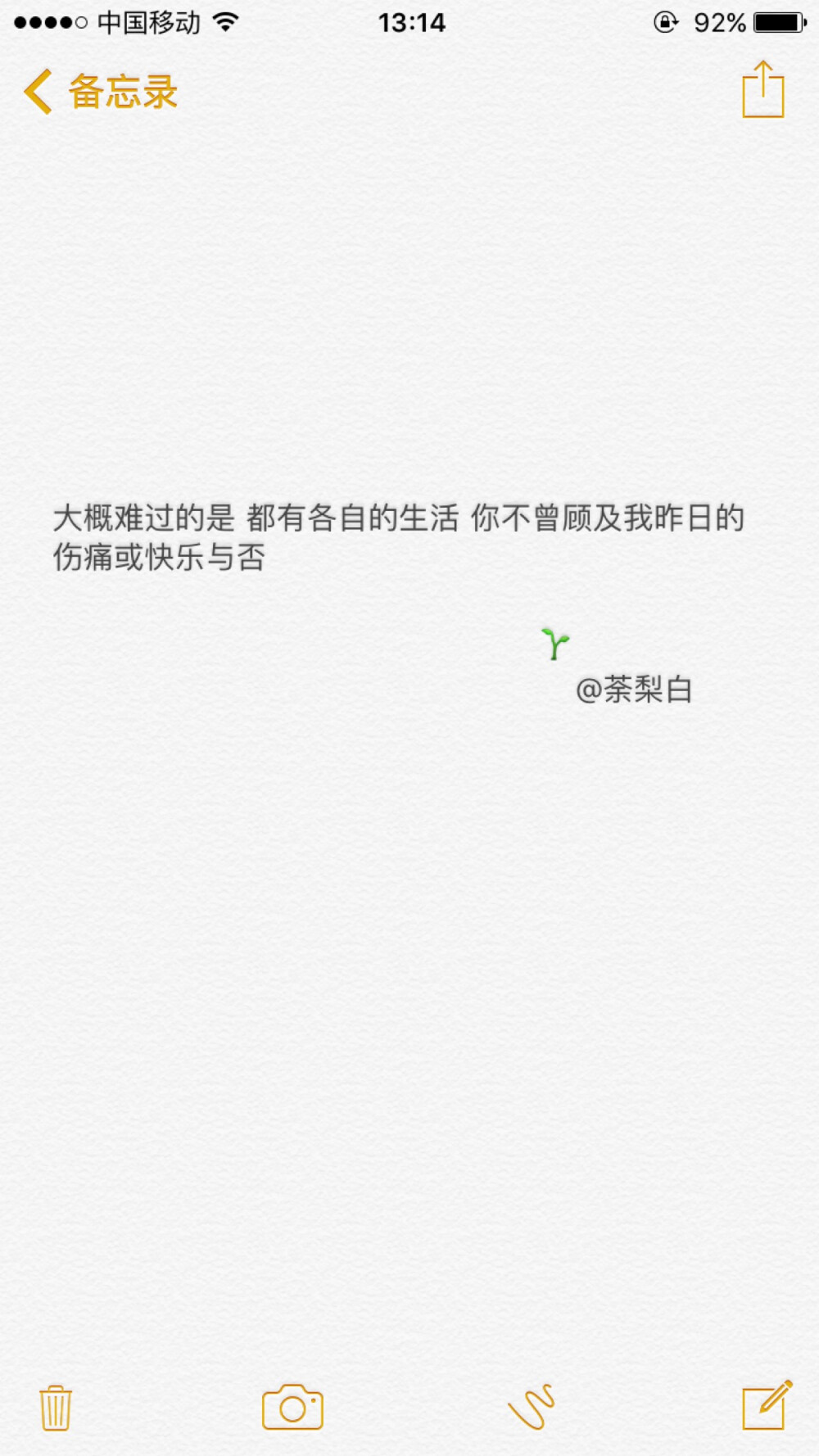 备忘录文字。大概难过的是 都有各自的生活 你不曾顾及我昨日的伤痛或快乐与否