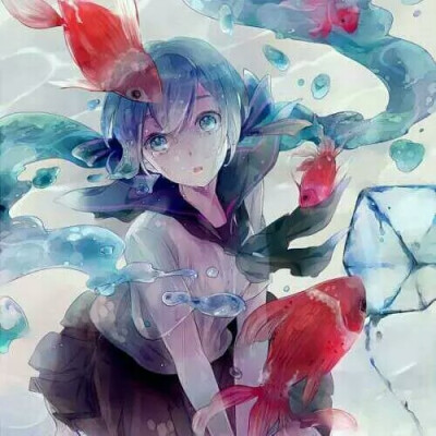 水 金鱼 惊讶 初音未来