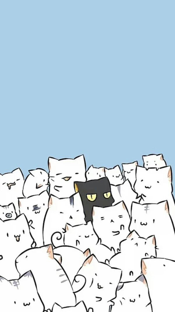 白猫黑猫蓝底 萌猫萌宠 Q版可爱壁纸 可爱猫咪