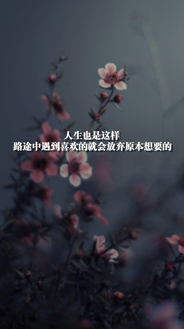 原创 自制 壁纸 背景 文字 禁止加水印修改