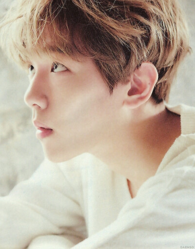 EXO.Baekhyun.边伯贤