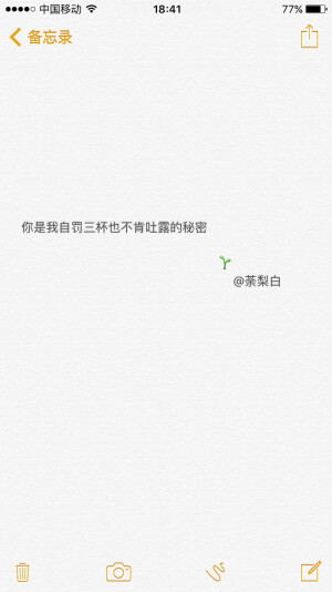 备忘录文字。你是我自罚三杯也不肯吐露的秘密