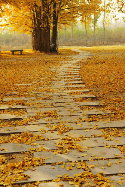 雨懂云的沉重，才会义无反顾；风懂叶的无奈，才会纯情而舞。有些人，朝夕相处，却形同陌路；有些人，只一眼相知，却是魂魄相依。懂，无需太多语言，有时只需一个微笑，一眼凝眸，它是灵魂与灵魂的对白，它是心与心的…