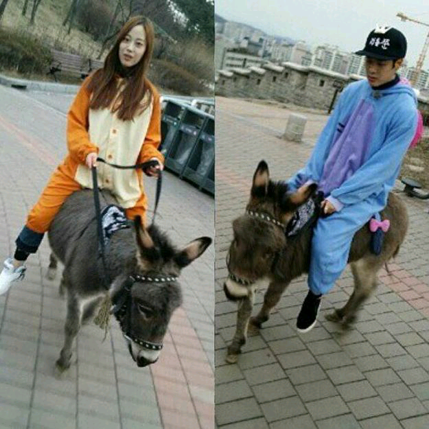 jackji王嘉尔2许英智许龄智英尔