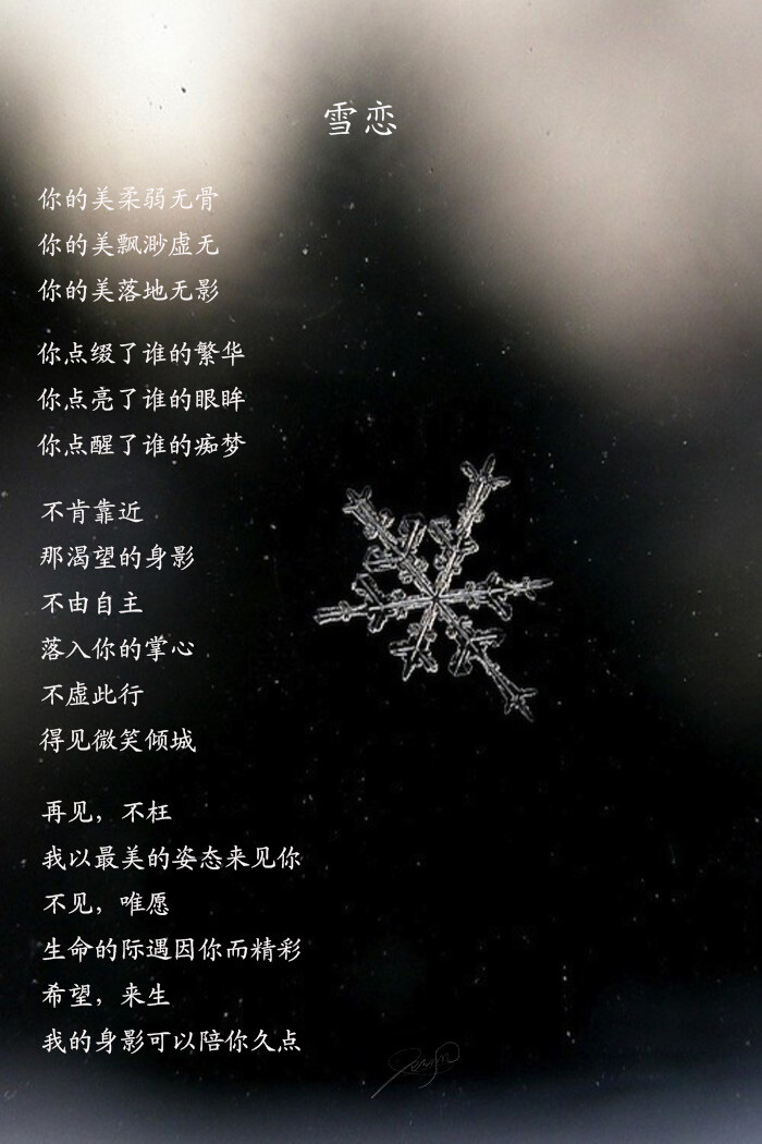 雪恋