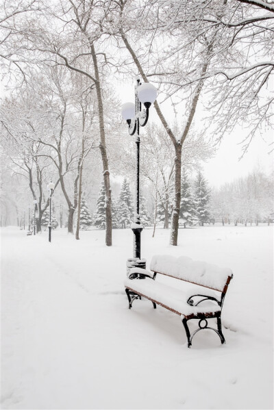 初雪，街边的长椅