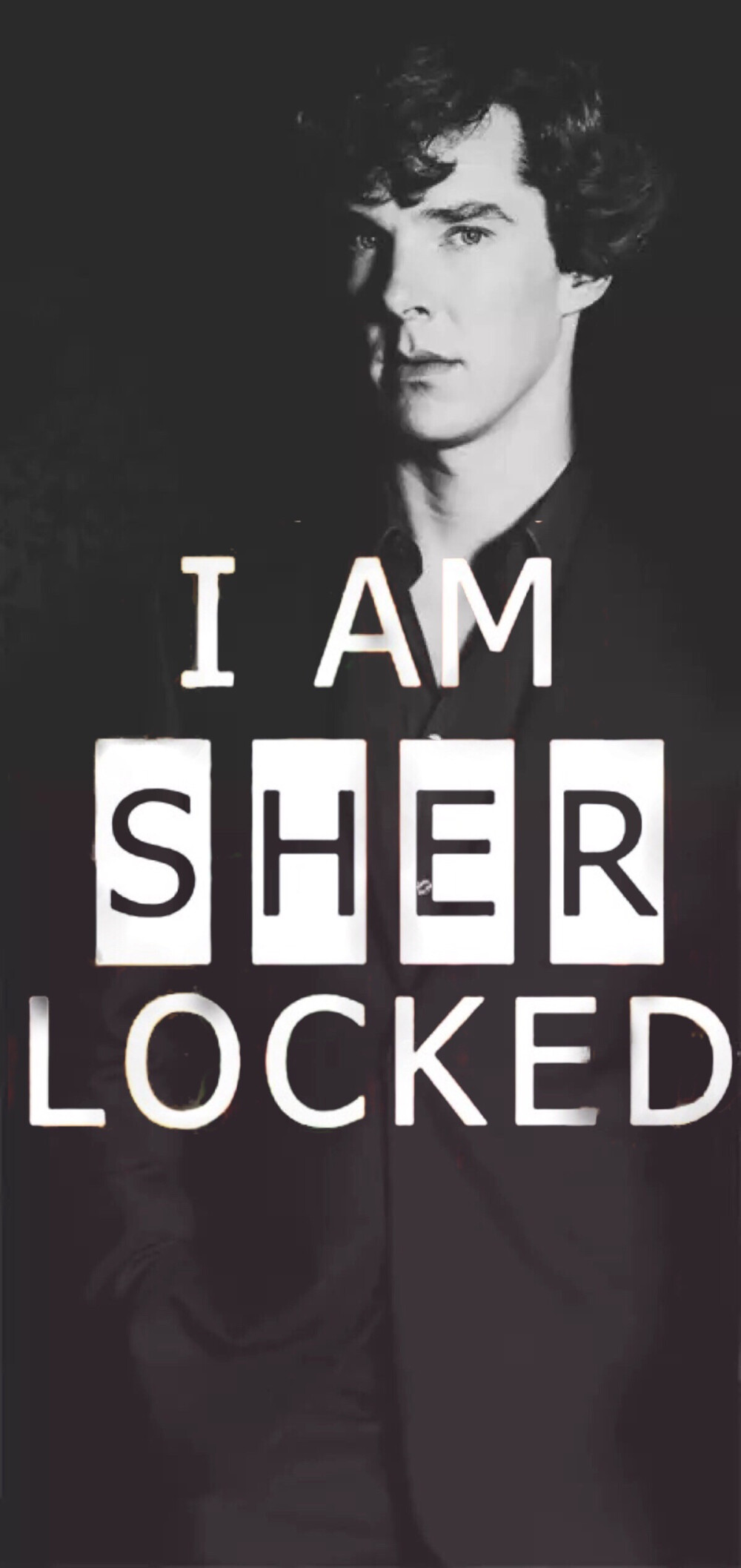 做了个图.神探夏洛克最神的结果 I AM SHER LOCKED.