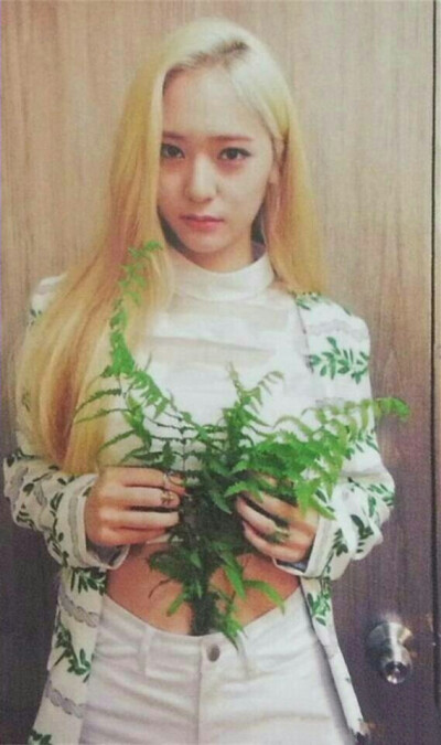 Krystal郑秀晶 韩国歌手 演员