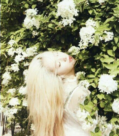 Krystal郑秀晶 韩国歌手 演员