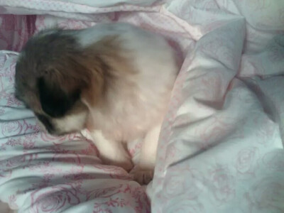 不想說話，，，