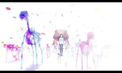 樱花小姐的脚下埋着尸体