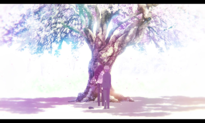 樱花小姐的脚下埋着尸体