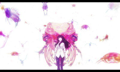 樱花小姐的脚下埋着尸体