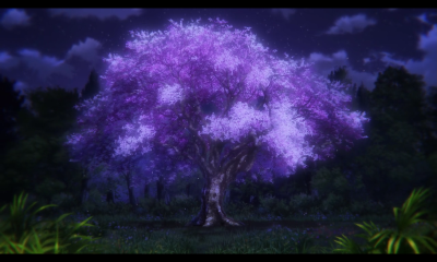 樱花小姐的脚下埋着尸体