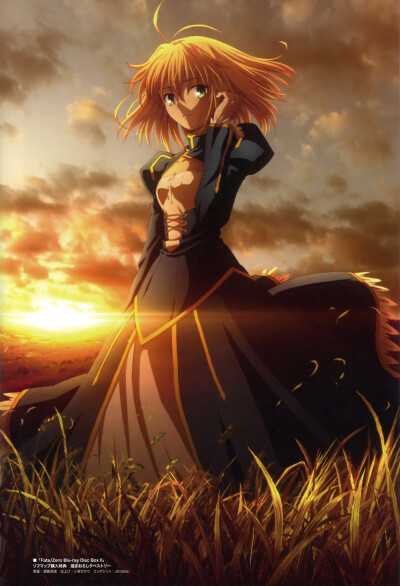 saber fate zero 