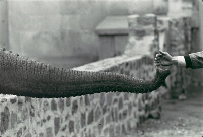 摄影：Garry Winogrand