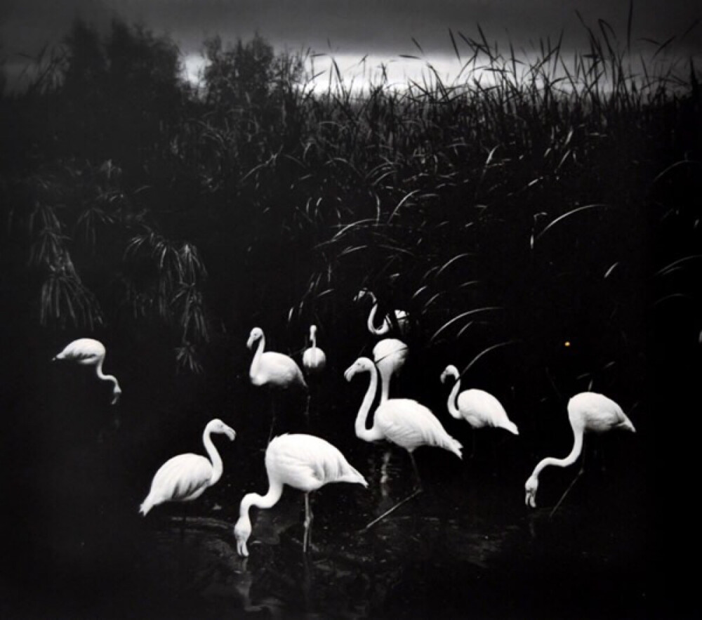 摄影：Pentti Sammallahti