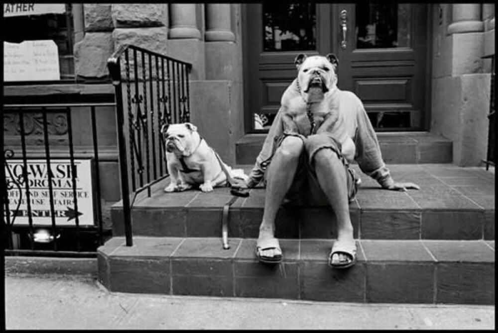 摄影：Elliott Erwitt