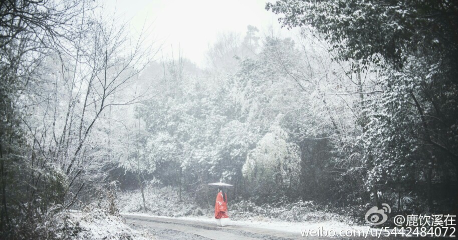 #南京一下雪就变成了金陵# 落得个白茫茫大地真干净。 妆容，发型：鹿饮溪在 摄影、后期：@大黑浩子 服装：@清辉阁步光 抄送：@汉服晴空 @汉服集 @汉服摄影 @汉服荟 出镜：鹿饮溪在