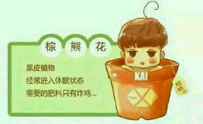 EXO 多萌植物 KAI