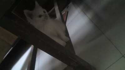 俯視你〜(￣▽￣〜)